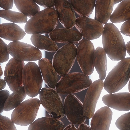 Обжаренные какао-бобы Боливия Вайлд Бениано купить в интернет-магазине VERHOFF