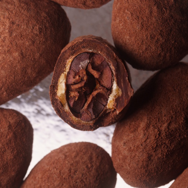 Драже какао-бобы в шоколаде купить в интернет-магазине VERHOFF